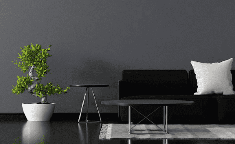 Black Quartz in Living room